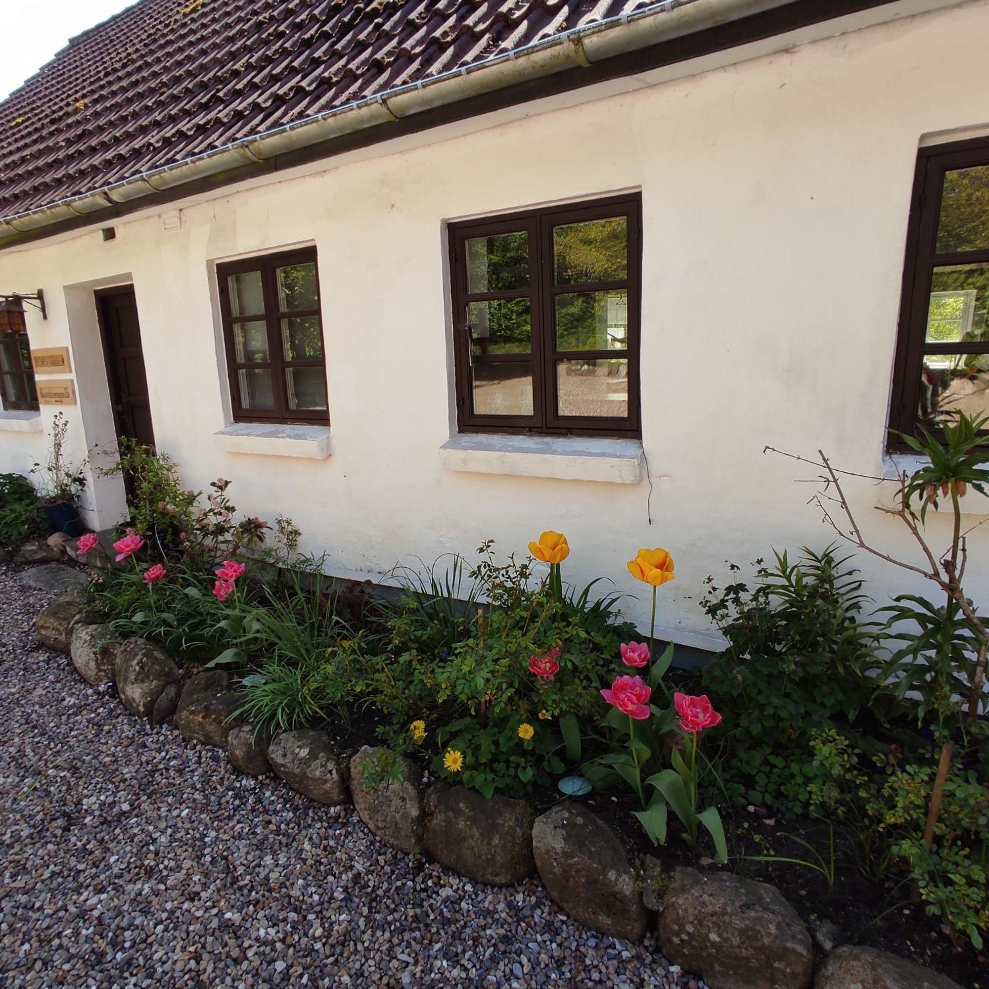 Emily'S Garden Lintrup Exterior foto